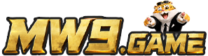 MW9 GAME